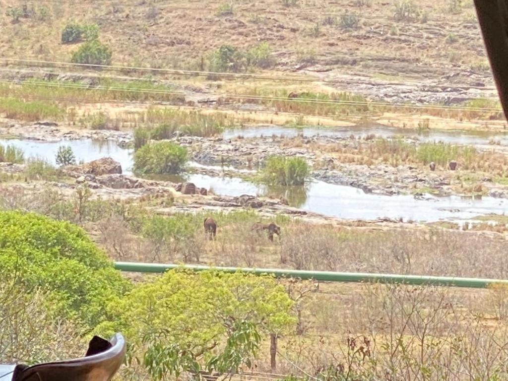 Croc River Lodge Komatipoort Kültér fotó